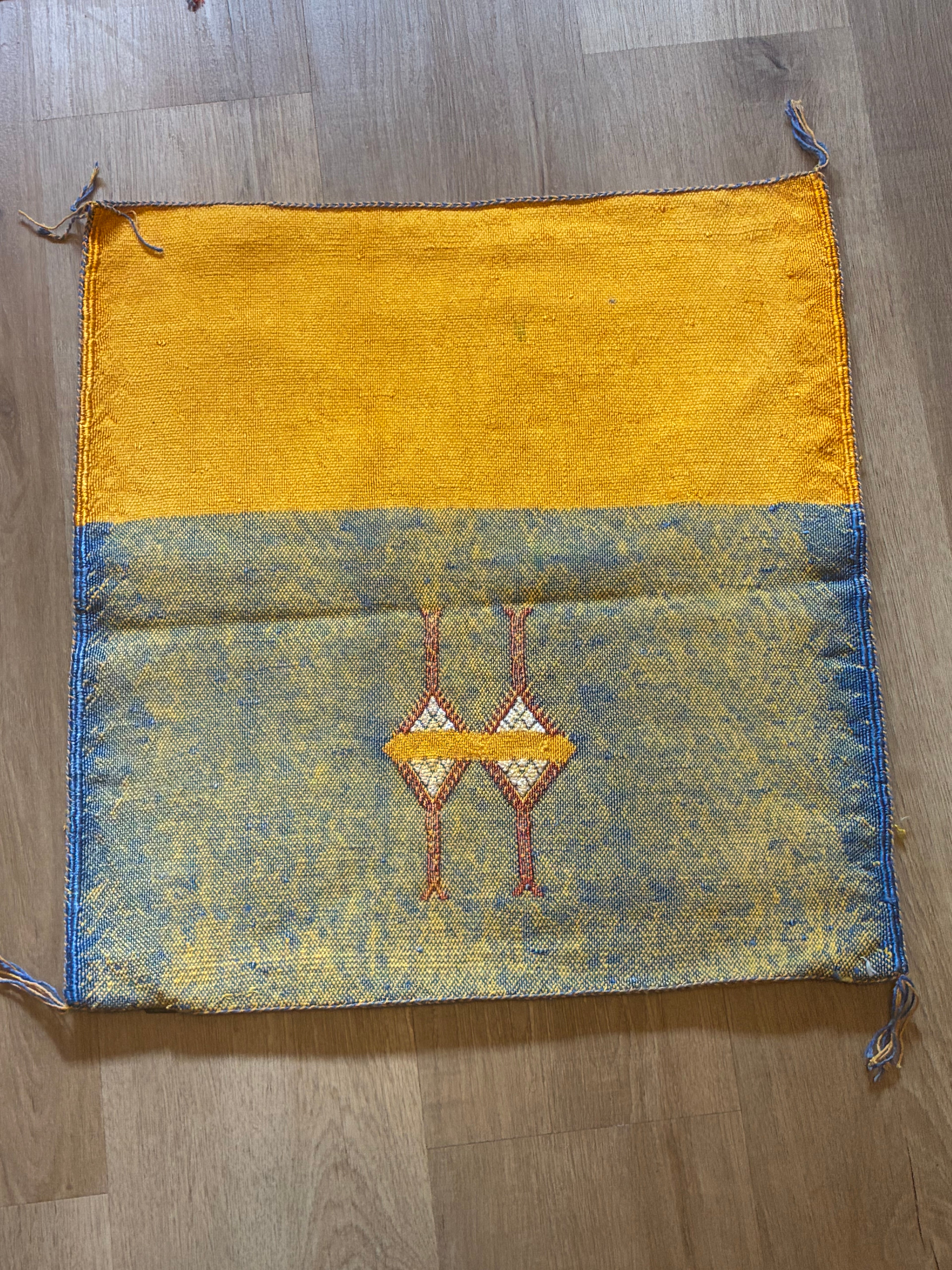 Housse de coussin en soie de cactus Le Duo des Terres